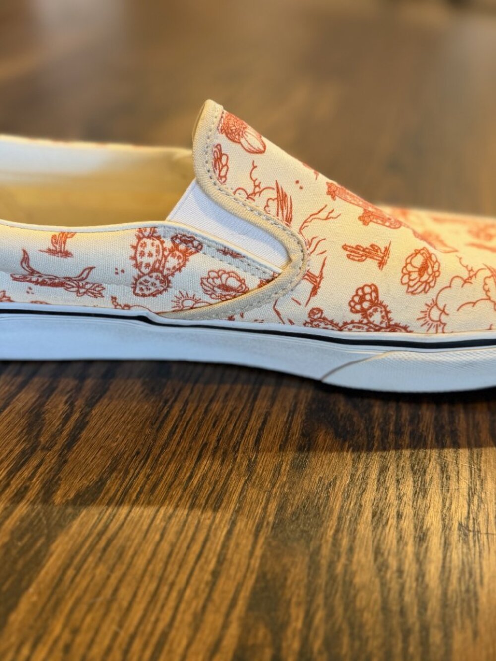 Vans Men’s 12 Classic Slip-On Desert Print Cactus Oatmeal Cream Color 751505 - Picture 2 of 9